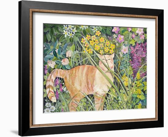 Cat and Long Grass, 1996-Hilary Jones-Framed Giclee Print