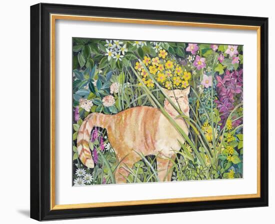 Cat and Long Grass, 1996-Hilary Jones-Framed Giclee Print