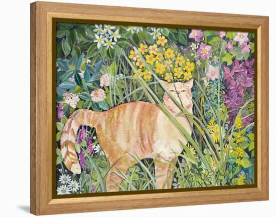 Cat and Long Grass, 1996-Hilary Jones-Framed Premier Image Canvas
