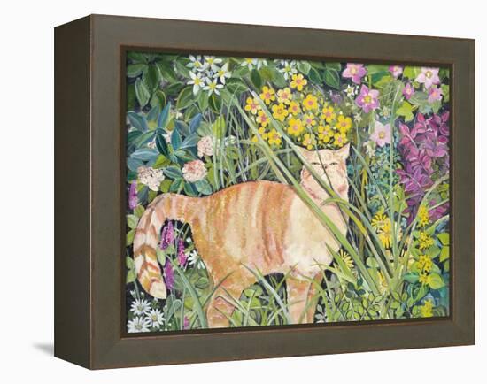 Cat and Long Grass, 1996-Hilary Jones-Framed Premier Image Canvas