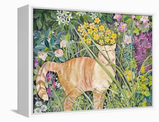 Cat and Long Grass, 1996-Hilary Jones-Framed Premier Image Canvas