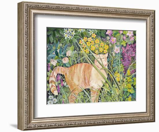 Cat and Long Grass, 1996-Hilary Jones-Framed Giclee Print