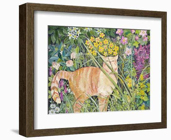 Cat and Long Grass, 1996-Hilary Jones-Framed Giclee Print