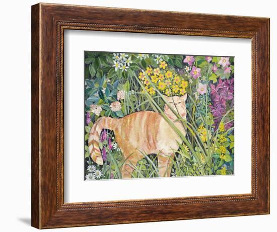 Cat and Long Grass, 1996-Hilary Jones-Framed Giclee Print