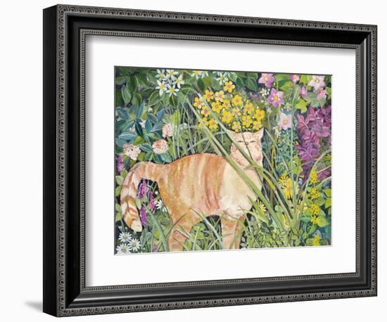 Cat and Long Grass, 1996-Hilary Jones-Framed Giclee Print