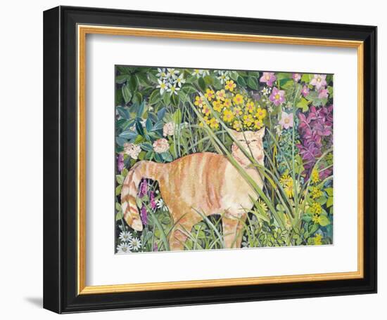 Cat and Long Grass, 1996-Hilary Jones-Framed Giclee Print