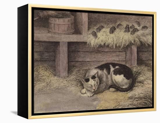 Cat and Mice in a Barn-null-Framed Premier Image Canvas