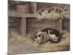 Giclee Print