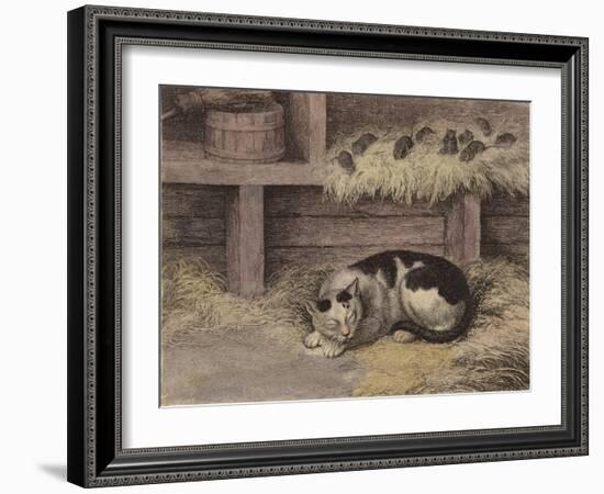 Cat and Mice in a Barn-null-Framed Giclee Print