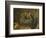 Cat and Monkey Concert-David Teniers the Younger-Framed Giclee Print