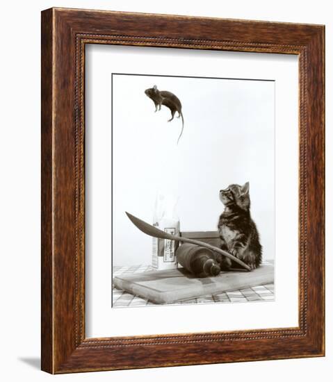 Cat and Mouse-null-Framed Art Print