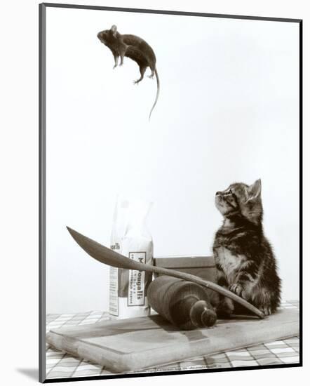 Cat and Mouse-null-Mounted Art Print