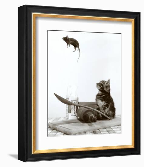 Cat and Mouse-null-Framed Art Print