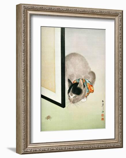 Cat and Spider-null-Framed Giclee Print