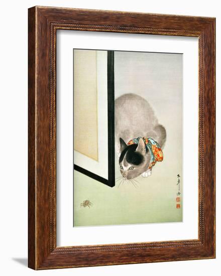 Cat and Spider-null-Framed Giclee Print