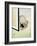 Cat and Spider-null-Framed Giclee Print