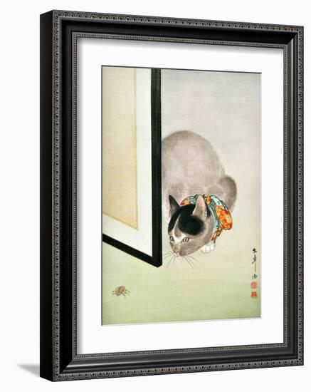 Cat and Spider-null-Framed Giclee Print