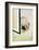 Cat and Spider-null-Framed Giclee Print