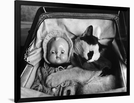 Photographic Print, , large