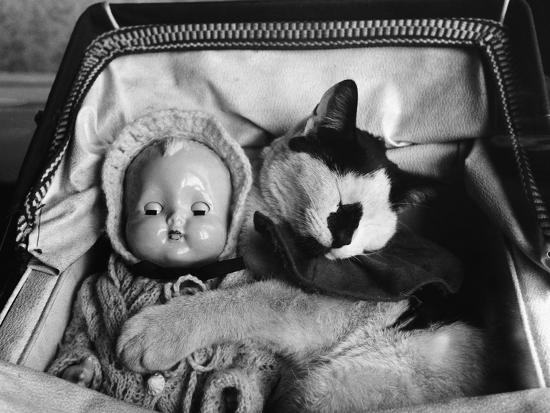 Photographic Print, , large