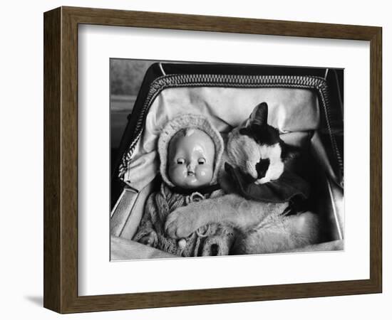 Cat Asleep in a Pram-null-Framed Photographic Print