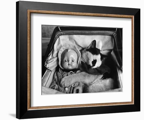 Cat Asleep in a Pram-null-Framed Photographic Print
