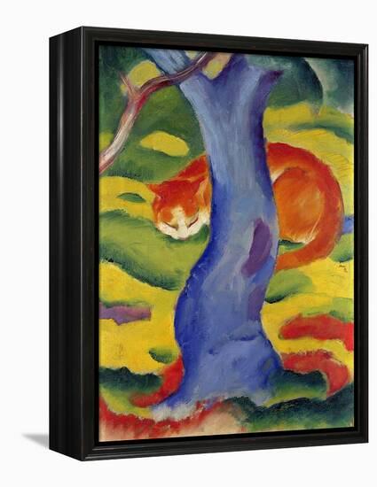 Cat Behind a Tree, 1910/11-Franz Marc-Framed Premier Image Canvas