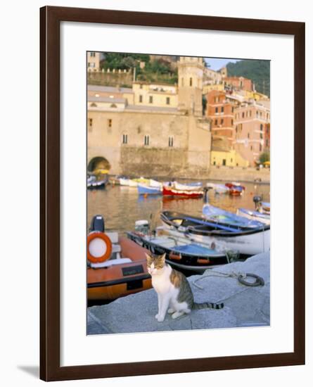 Cat by Harbour, Village of Vernazza, Cinque Terre, Unesco World Heritage Site, Liguria, Italy-Bruno Morandi-Framed Photographic Print