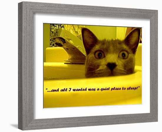 Cat capers #2-Ruth Palmer Digital-Framed Art Print