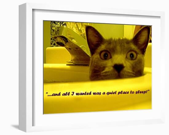 Cat capers #2-Ruth Palmer Digital-Framed Art Print