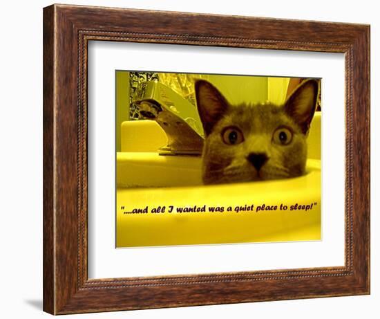 Cat capers #2-Ruth Palmer Digital-Framed Art Print