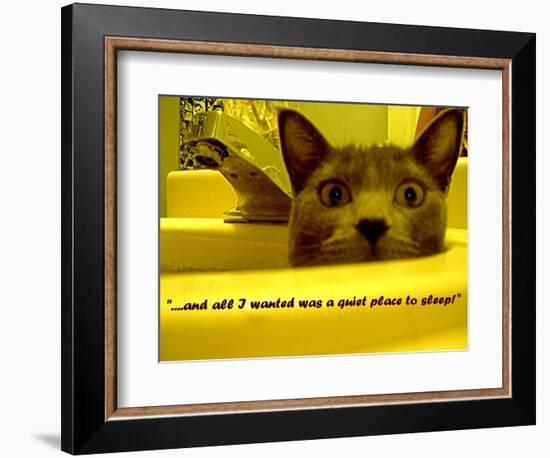 Cat capers #2-Ruth Palmer Digital-Framed Art Print