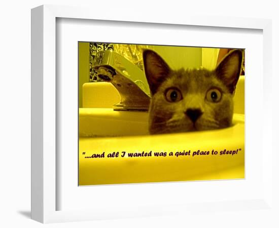 Cat capers #2-Ruth Palmer Digital-Framed Art Print