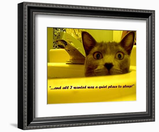 Cat capers #2-Ruth Palmer Digital-Framed Art Print