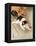 Cat Catching Mouse-Koson Ohara-Framed Premier Image Canvas