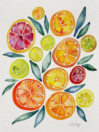 Citrus Slices' Giclee Print - Cat Coquillette