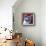 Cat - Devon Rex-Dawgart-Framed Giclee Print displayed on a wall