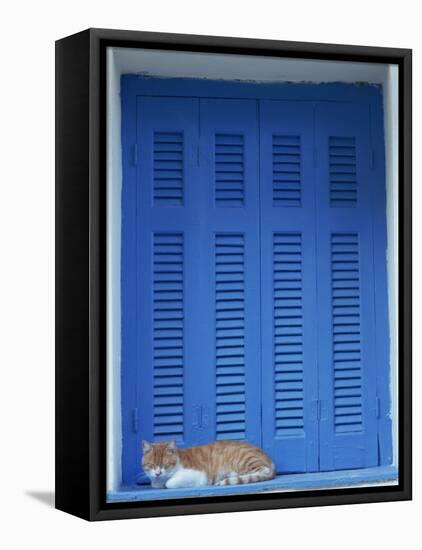 Cat Enjoying a Nap, Athens, Greece, Europe-Thouvenin Guy-Framed Premier Image Canvas