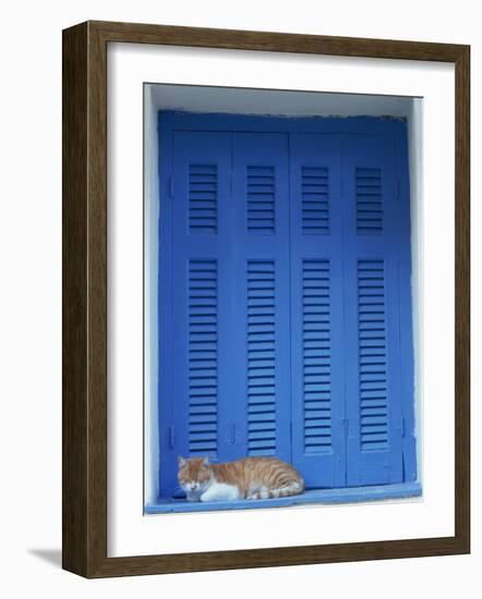 Cat Enjoying a Nap, Athens, Greece, Europe-Thouvenin Guy-Framed Photographic Print