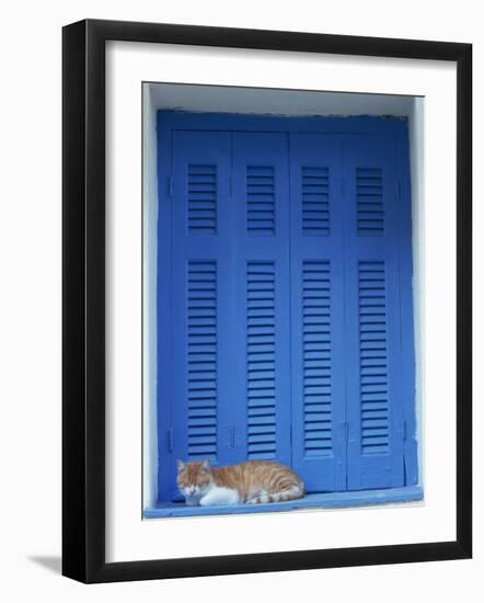 Cat Enjoying a Nap, Athens, Greece, Europe-Thouvenin Guy-Framed Photographic Print