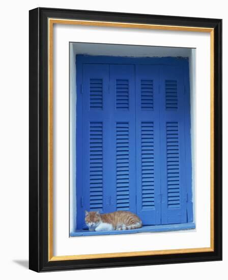 Cat Enjoying a Nap, Athens, Greece, Europe-Thouvenin Guy-Framed Photographic Print