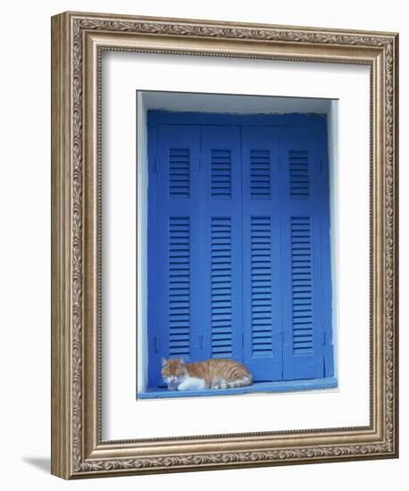 Cat Enjoying a Nap, Athens, Greece, Europe-Thouvenin Guy-Framed Photographic Print