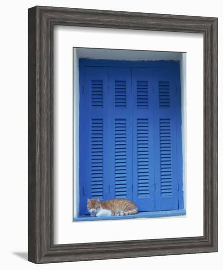 Cat Enjoying a Nap, Athens, Greece, Europe-Thouvenin Guy-Framed Photographic Print