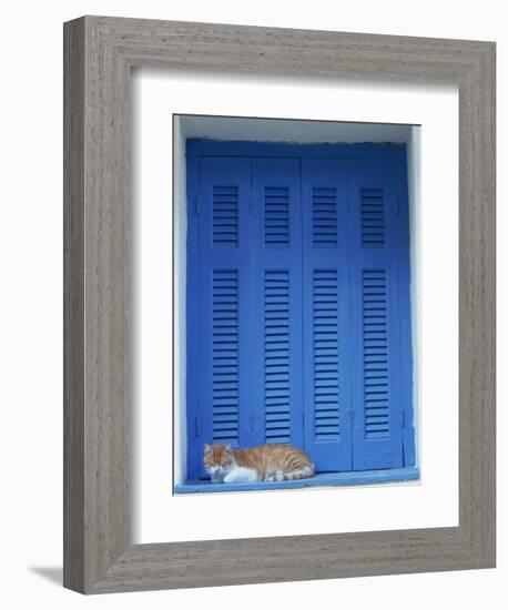 Cat Enjoying a Nap, Athens, Greece, Europe-Thouvenin Guy-Framed Photographic Print