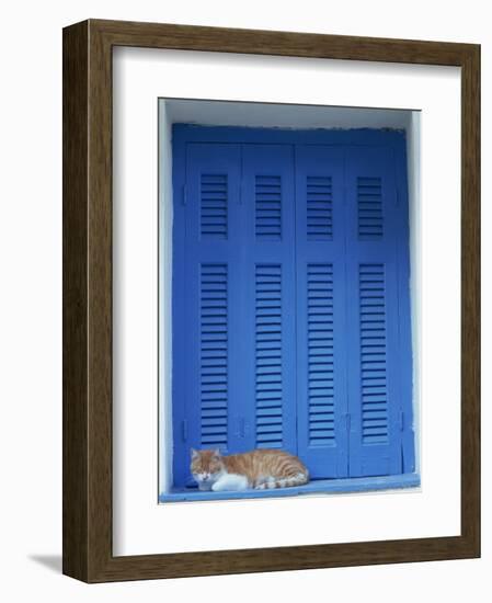 Cat Enjoying a Nap, Athens, Greece, Europe-Thouvenin Guy-Framed Photographic Print