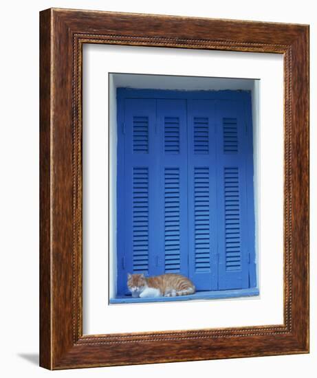 Cat Enjoying a Nap, Athens, Greece, Europe-Thouvenin Guy-Framed Photographic Print