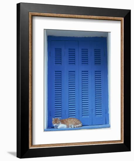 Cat Enjoying a Nap, Athens, Greece, Europe-Thouvenin Guy-Framed Photographic Print