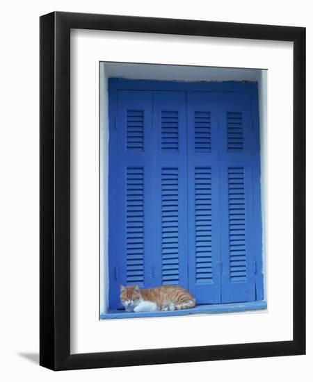 Cat Enjoying a Nap, Athens, Greece, Europe-Thouvenin Guy-Framed Photographic Print