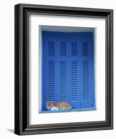 Cat Enjoying a Nap, Athens, Greece, Europe-Thouvenin Guy-Framed Photographic Print