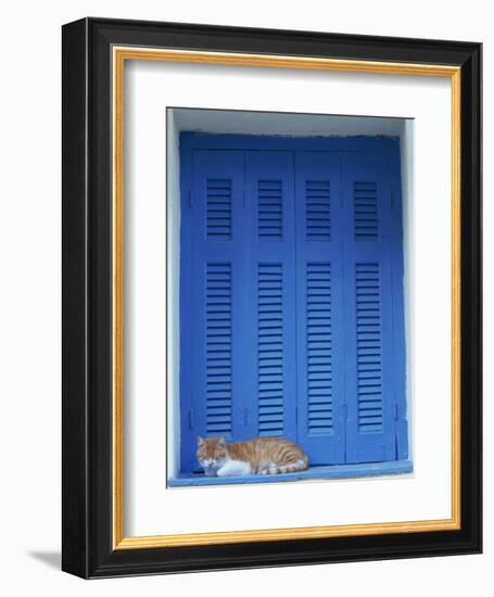 Cat Enjoying a Nap, Athens, Greece, Europe-Thouvenin Guy-Framed Photographic Print